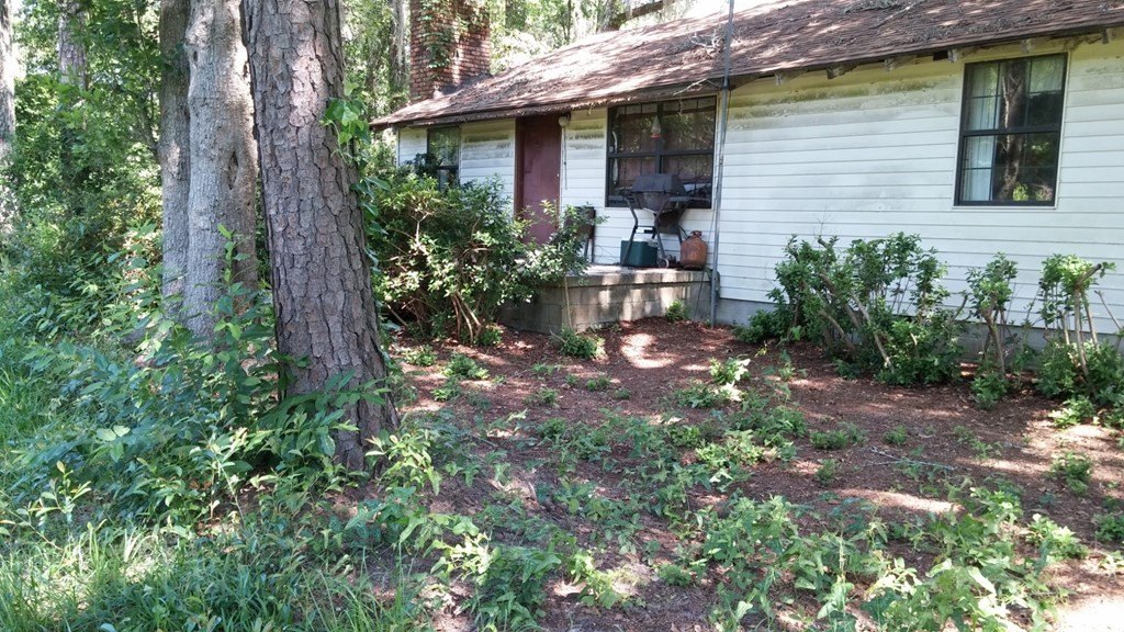 Picture 5