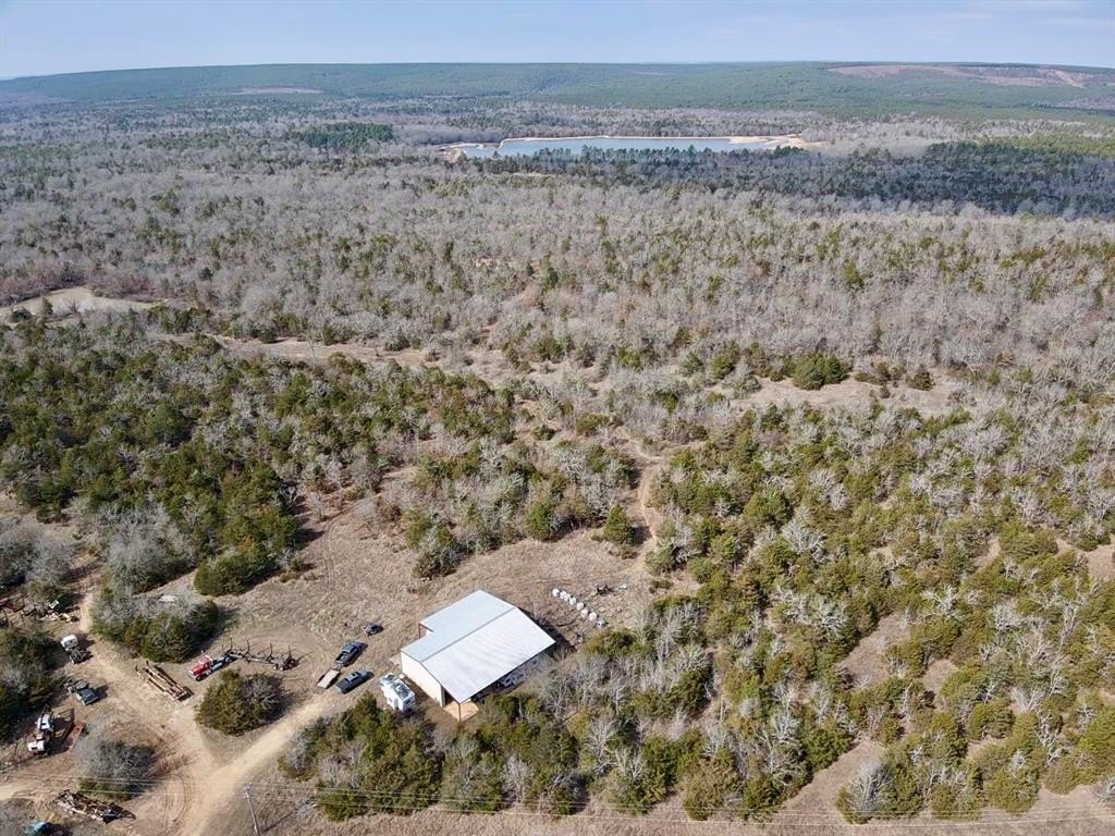 Ozzie Cobb 110 Ranch