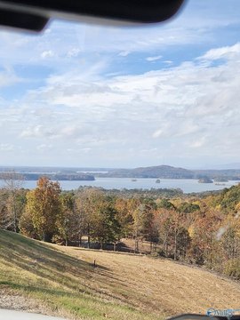 LAND - Cedar Bluff, AL