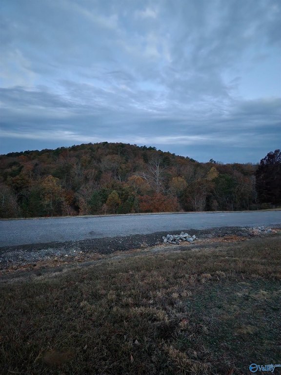 Picture 6