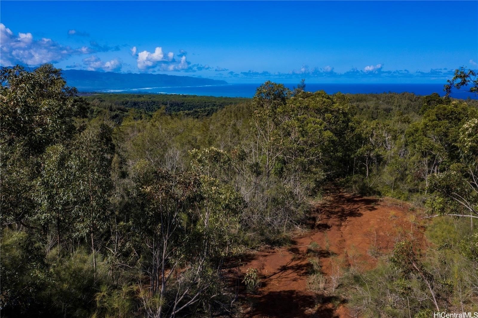 Undeveloped Land with Ocean Views