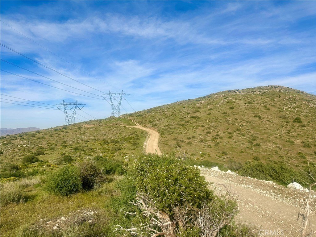 Picture 12