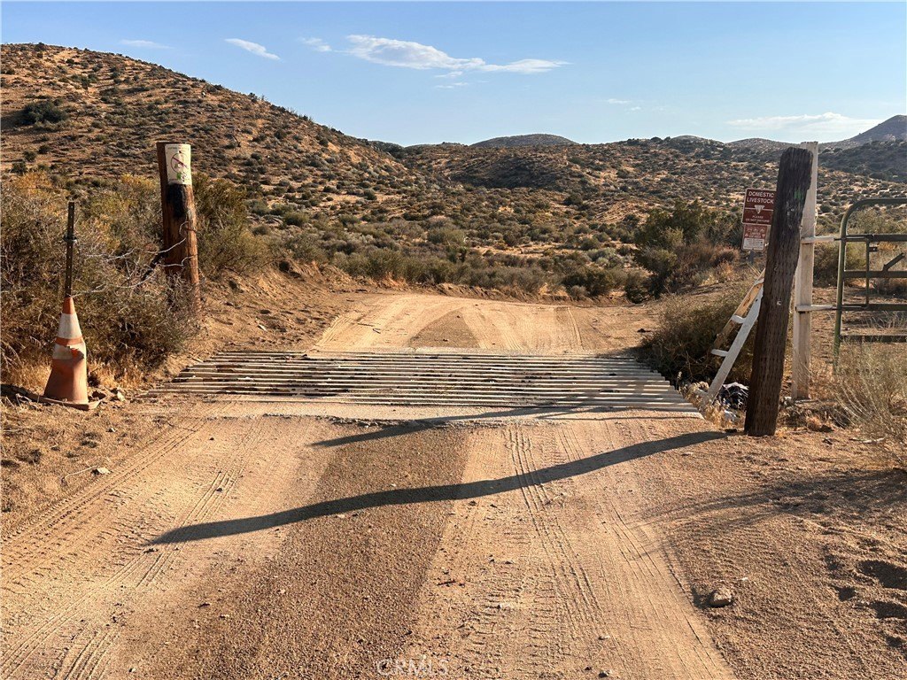 Picture 20