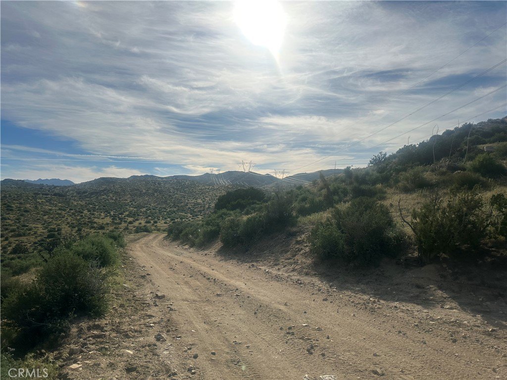 Picture 14