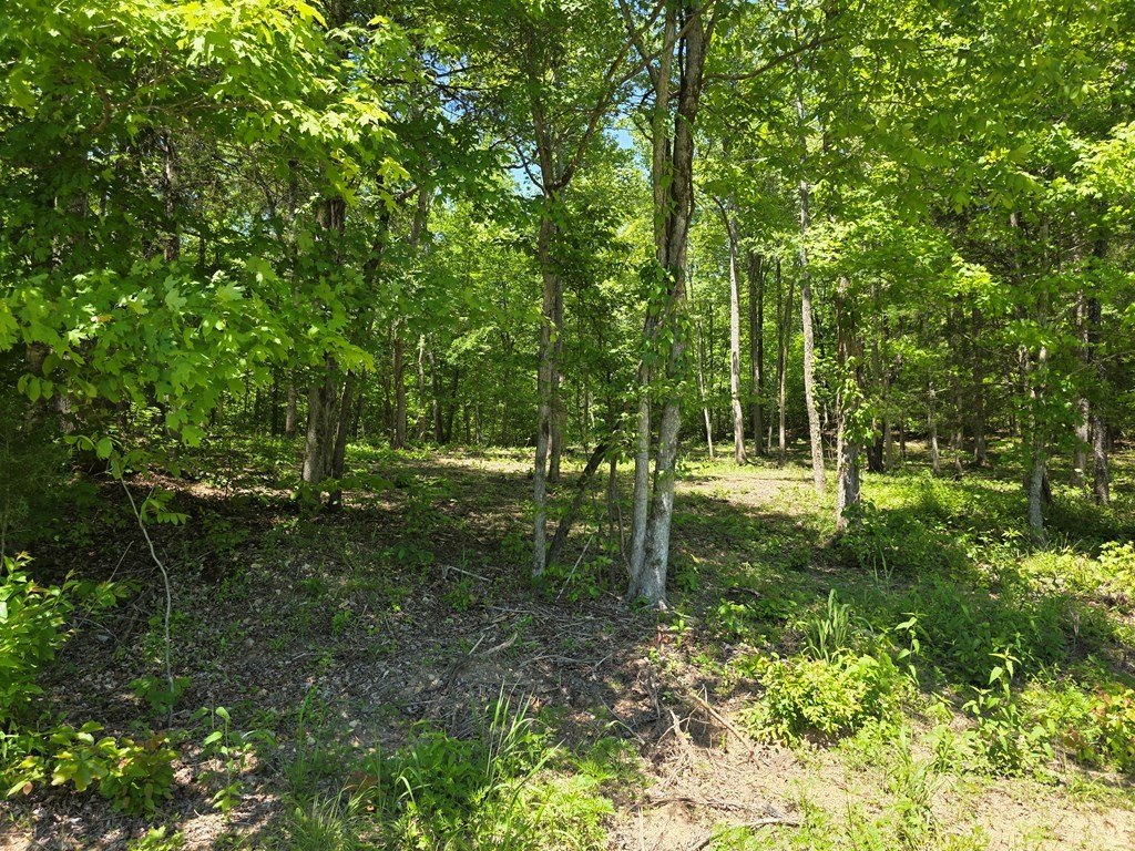 Picture 15