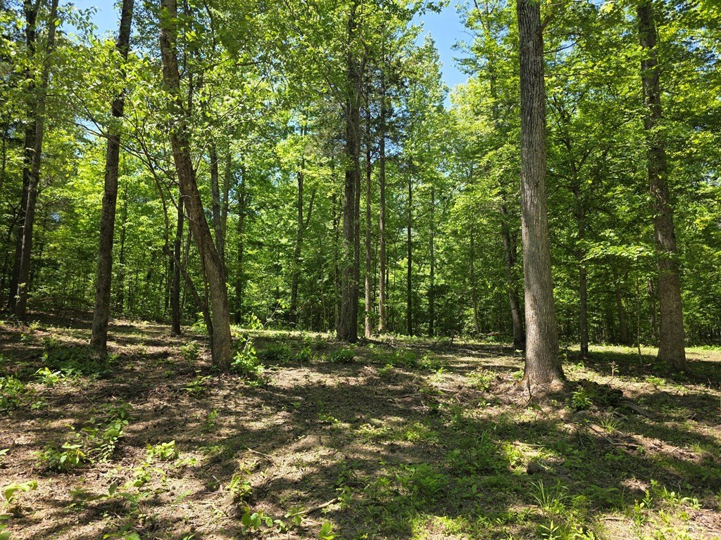 Picture 19