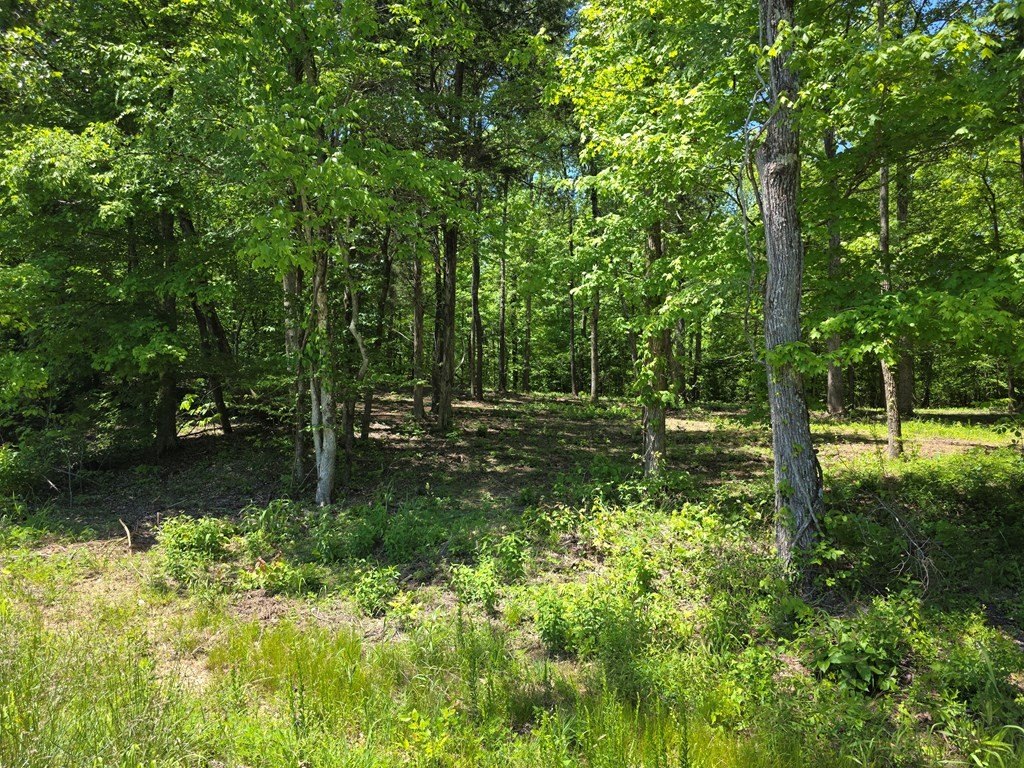 Picture 18