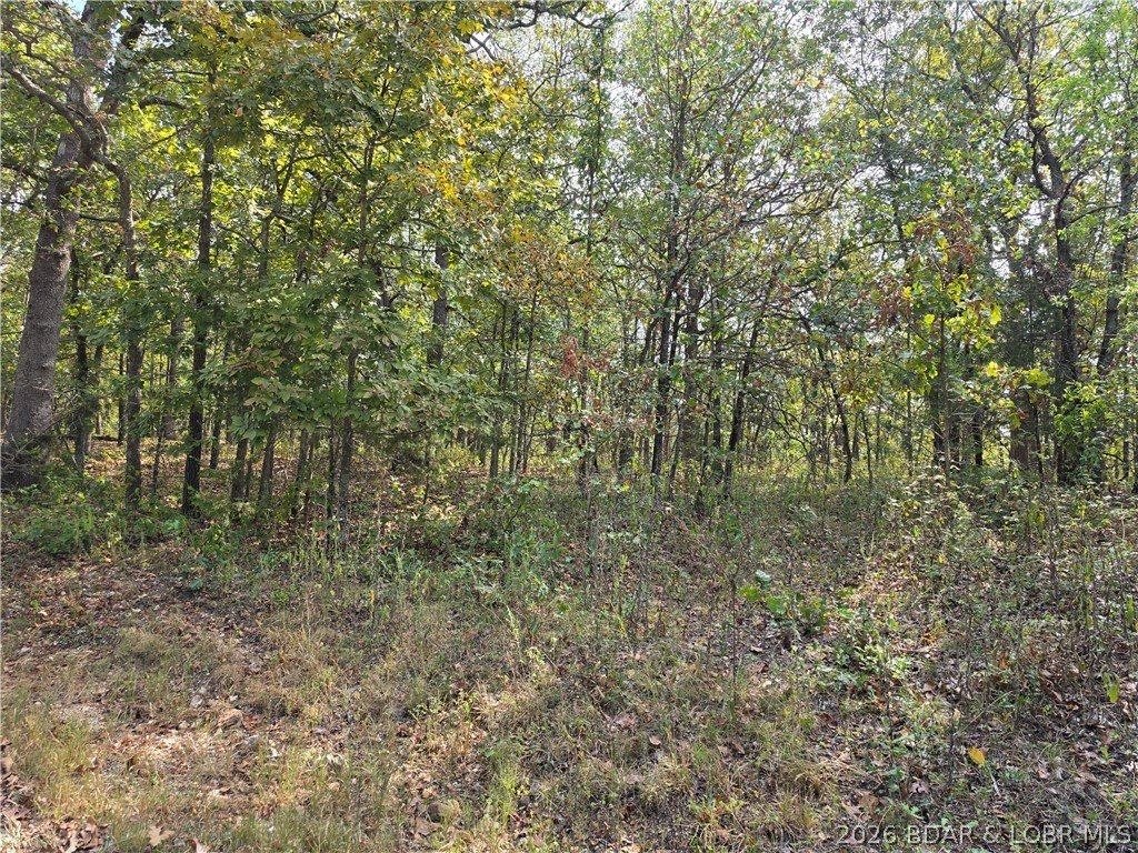 Picture 2