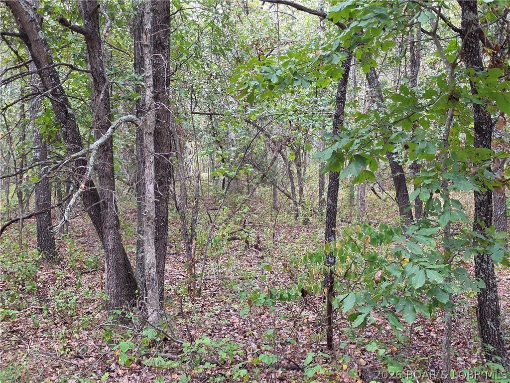 Picture 23