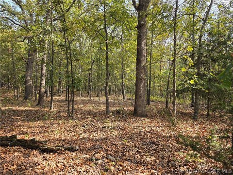 Land, Edwards, MO