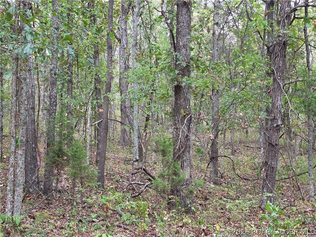 Picture 25