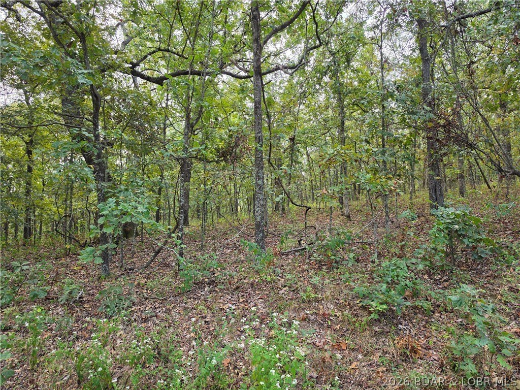 Picture 14