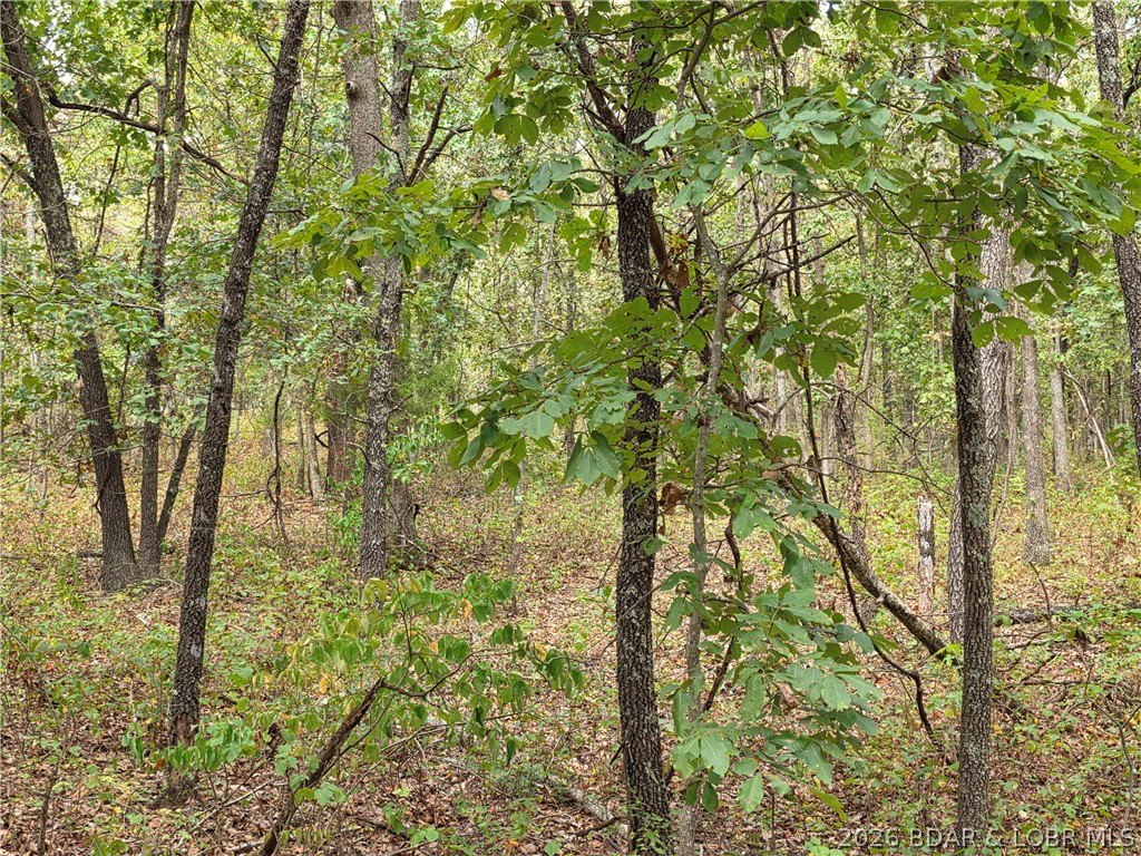 Picture 26