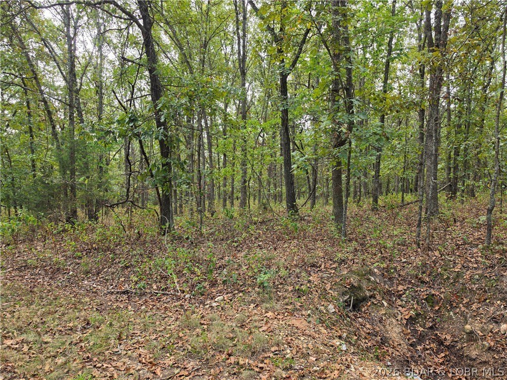 Picture 16