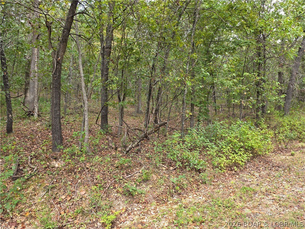 Picture 22