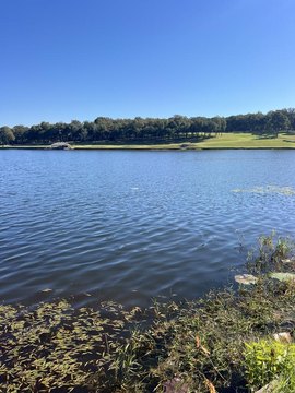 Lakefront Land with Deep-Water Access