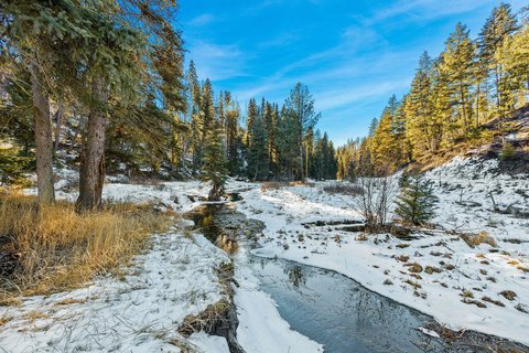 Proctor, MT Land with Creek