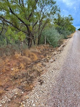 Land, Trent, TX