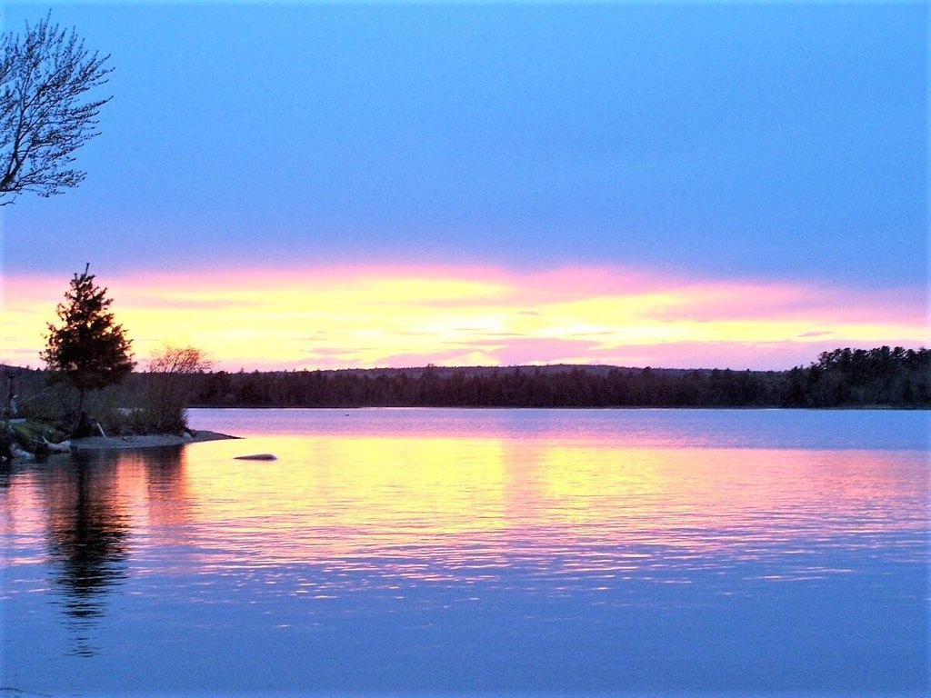 Picture 7