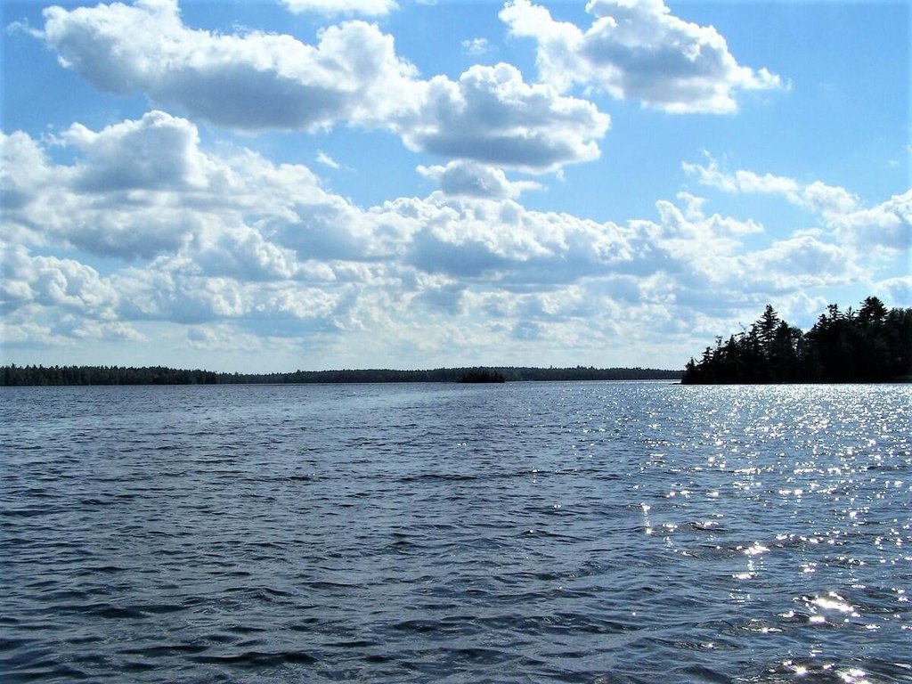Picture 4