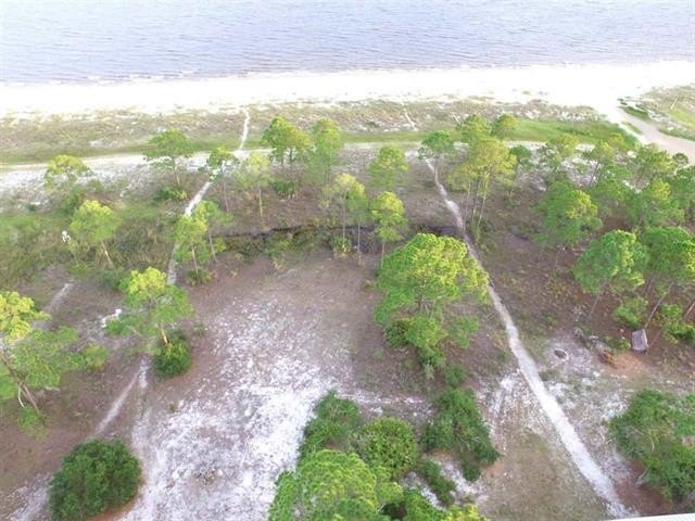 Picture 3