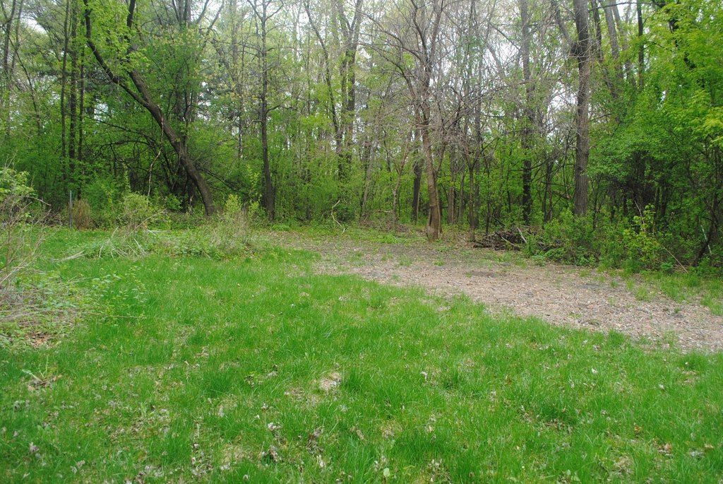 Picture 5