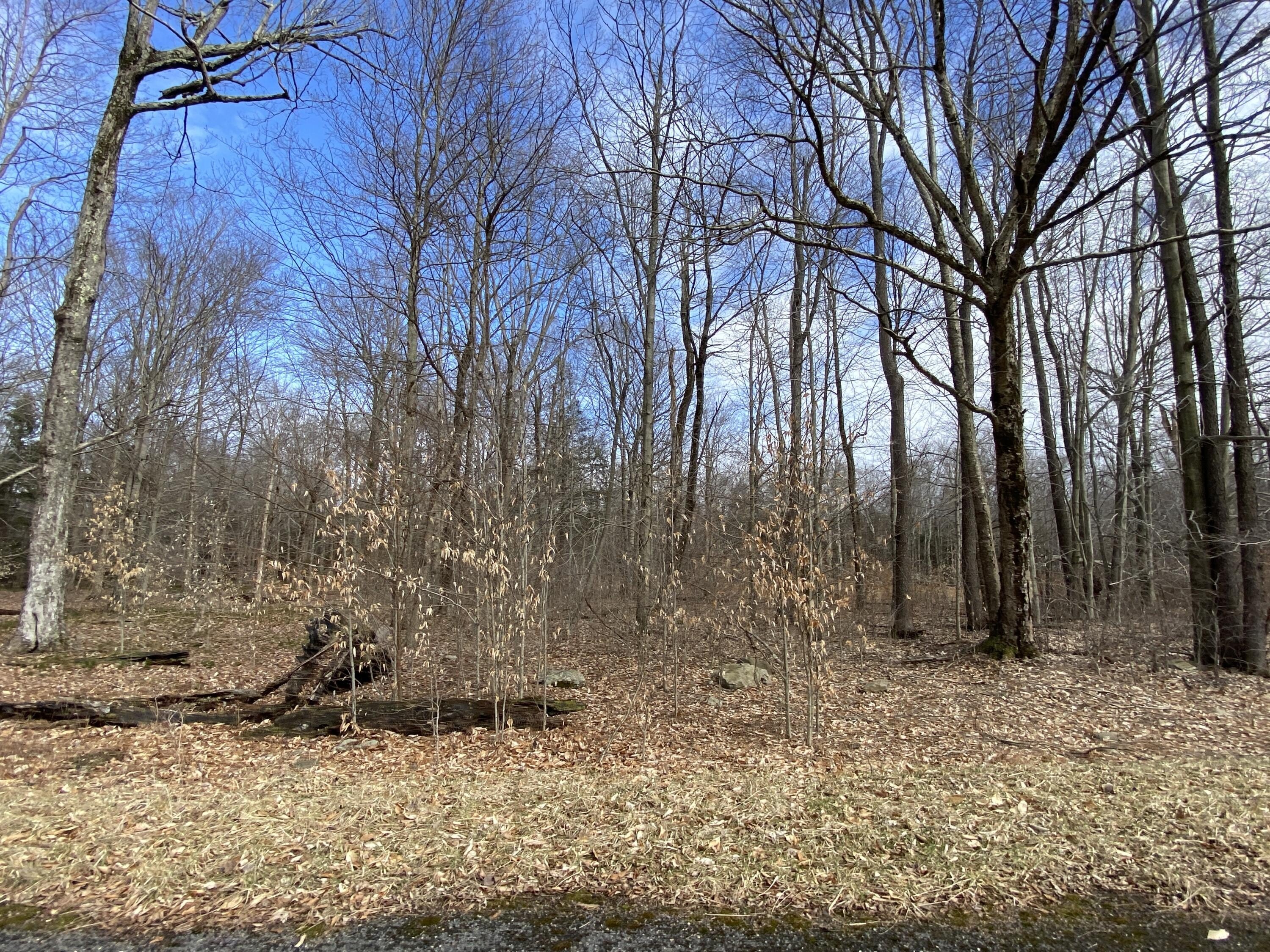 Pocono Lake Land: Build Dream