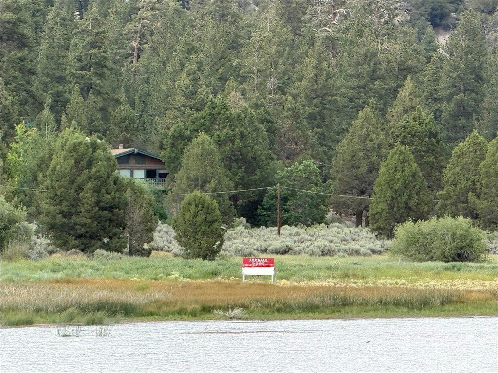 Picture 13