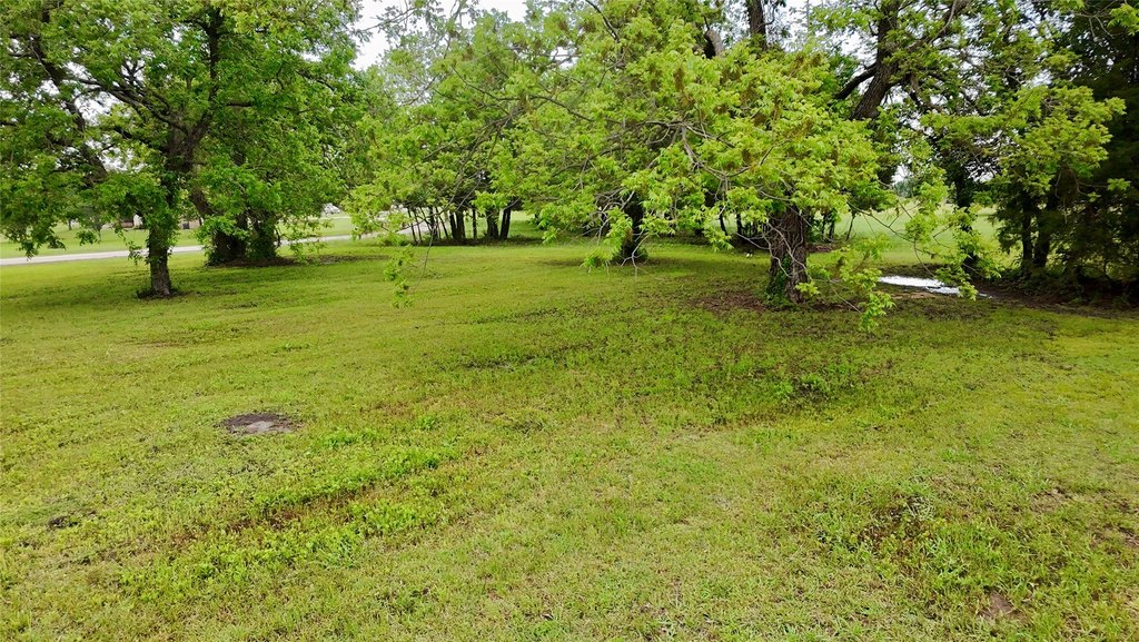 Picture 21