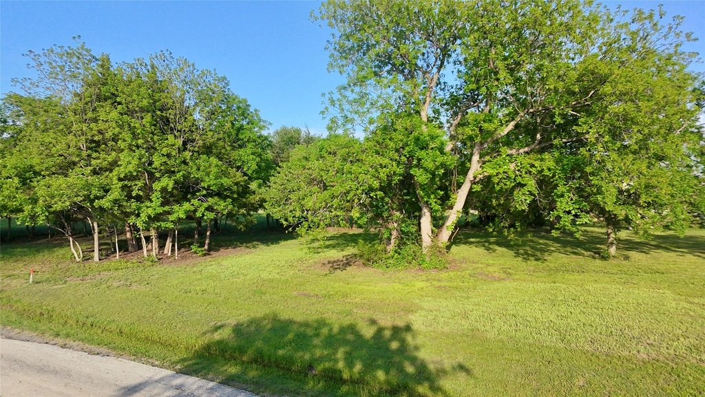 Picture 14