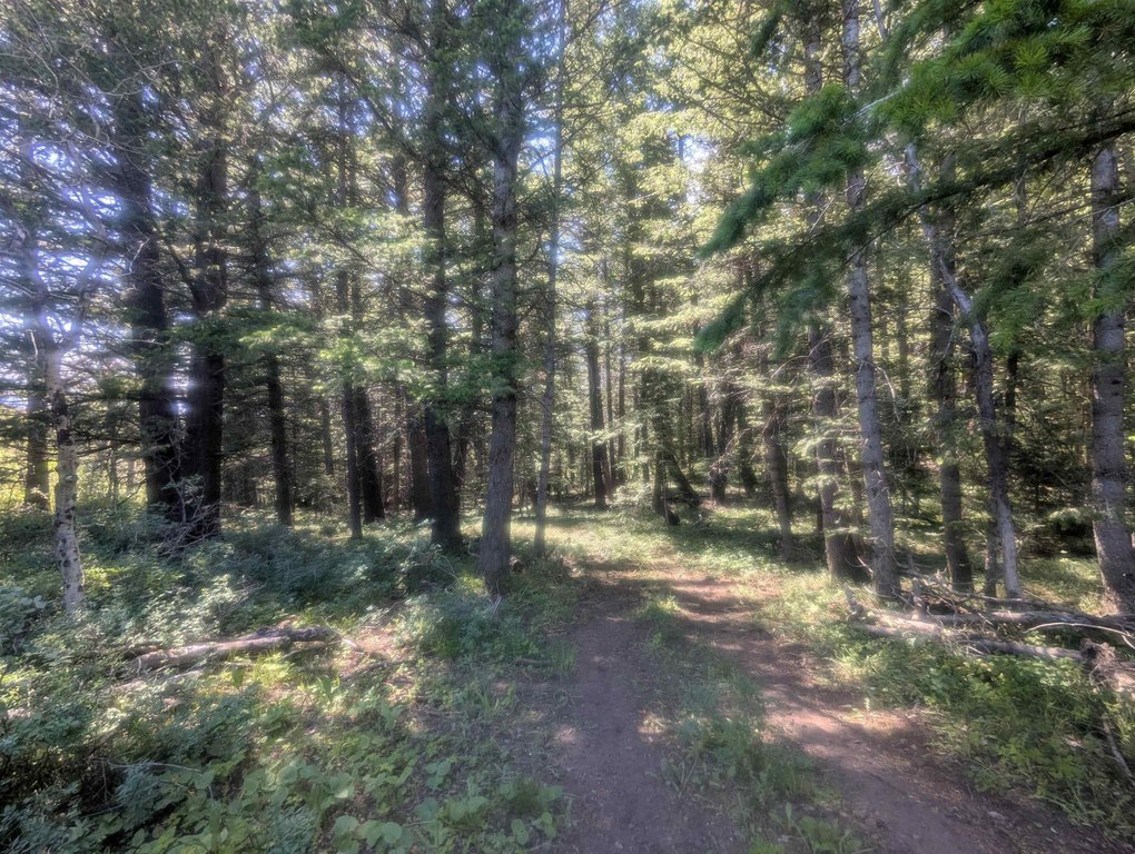 Picture 6
