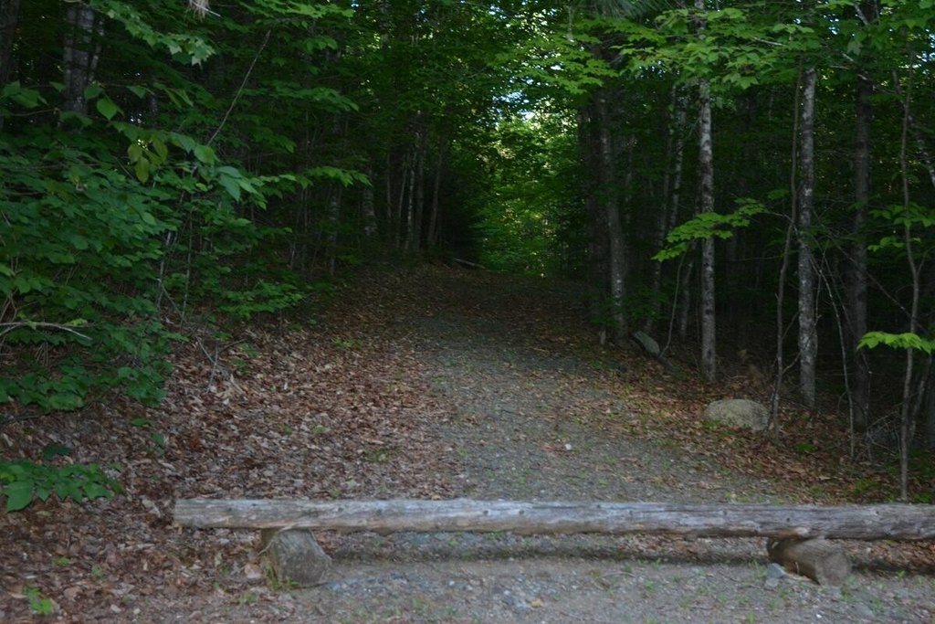 Picture 6