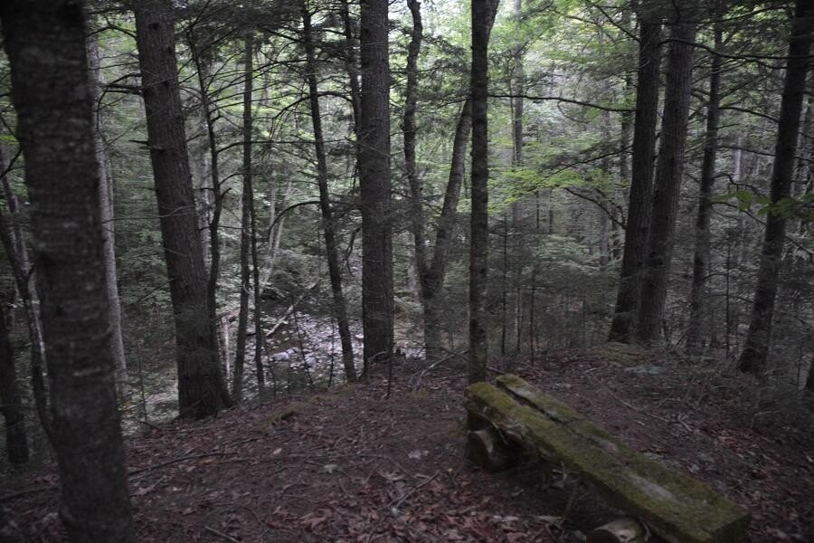 Picture 13