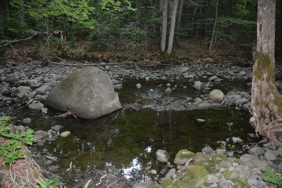 Picture 3