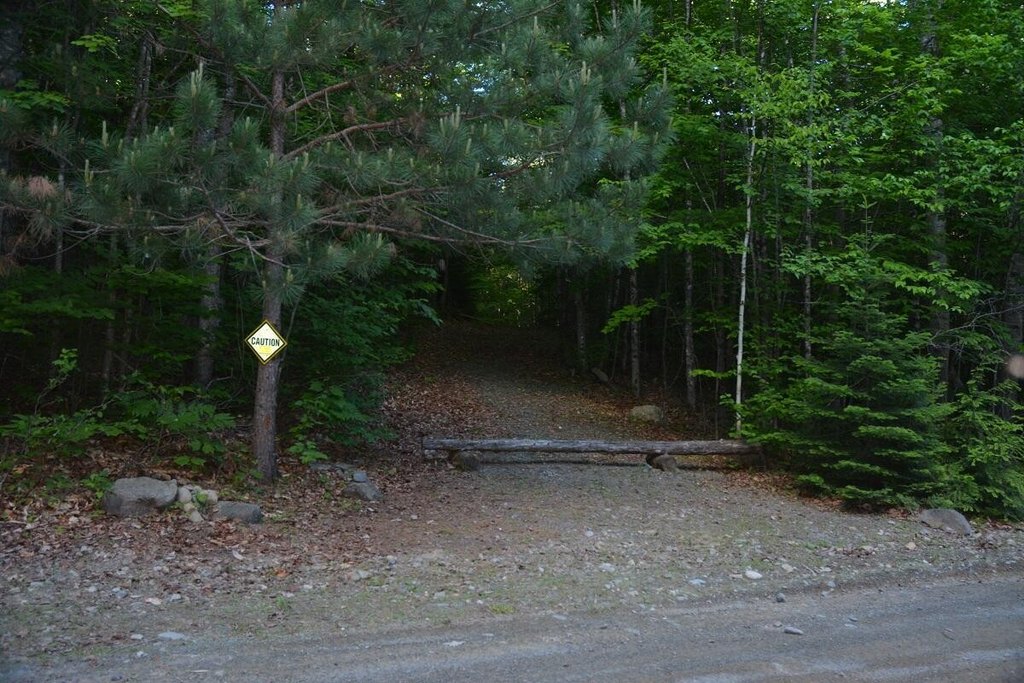 Picture 5