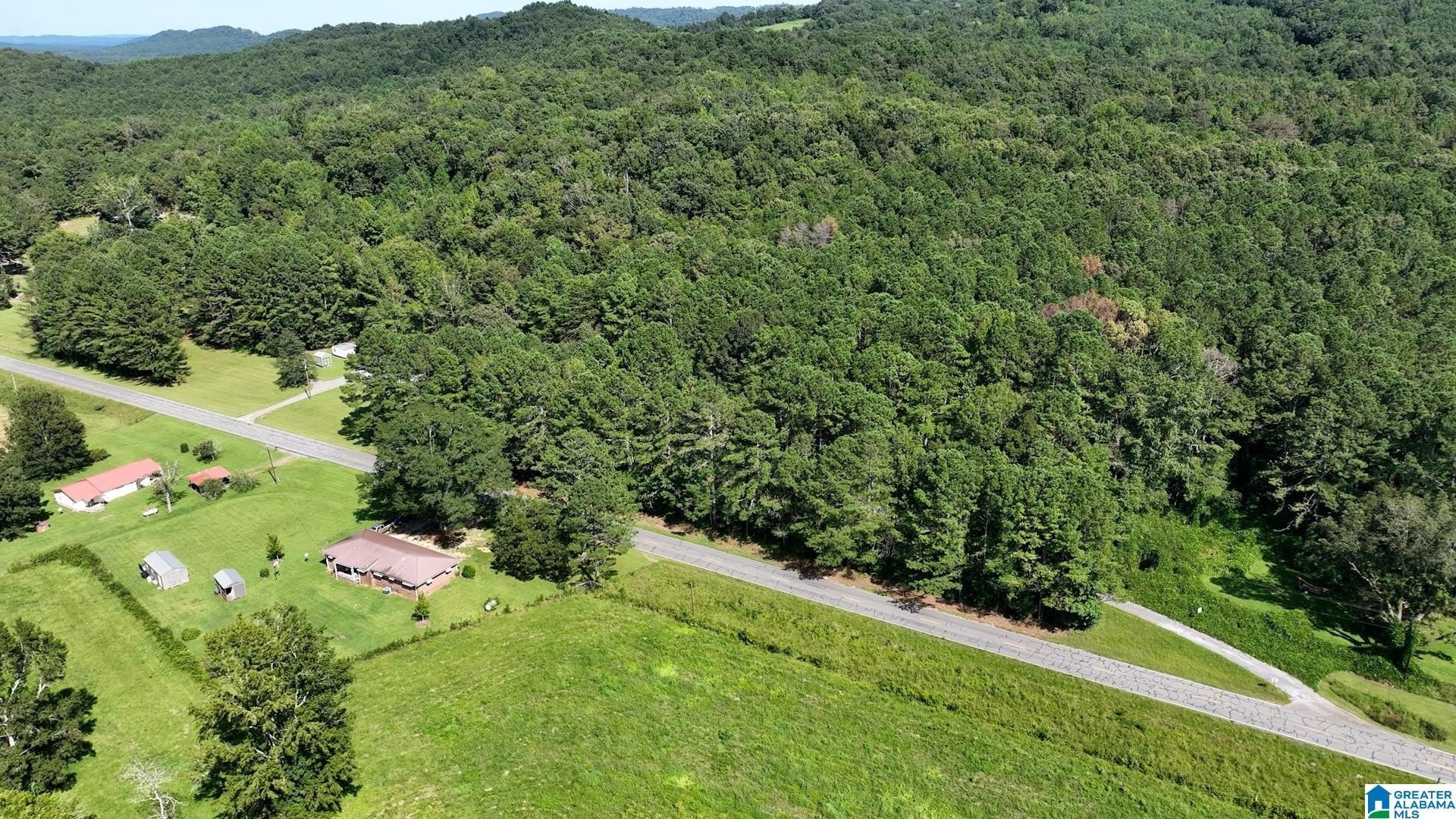 Wooded Acreage Near Gallant Road