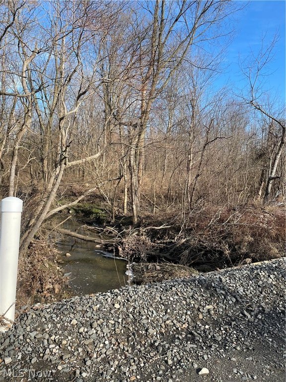 Picture 12