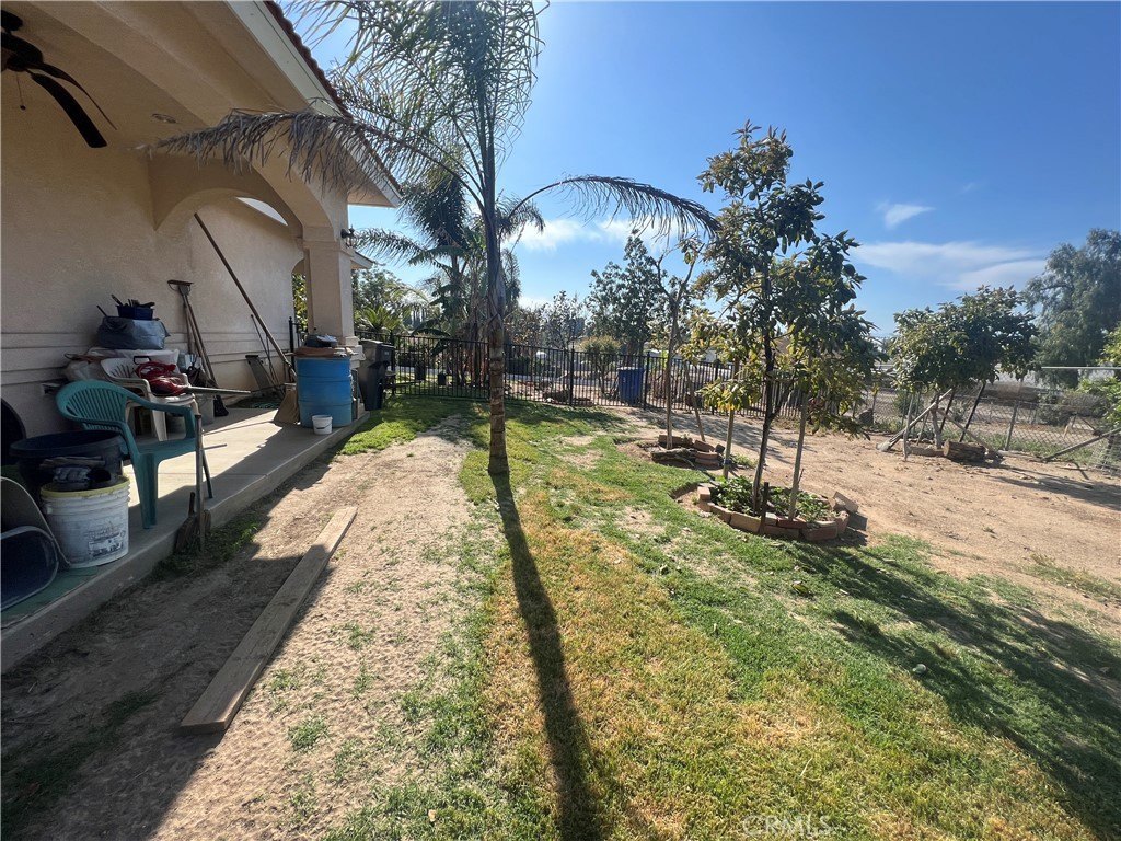 Picture 20