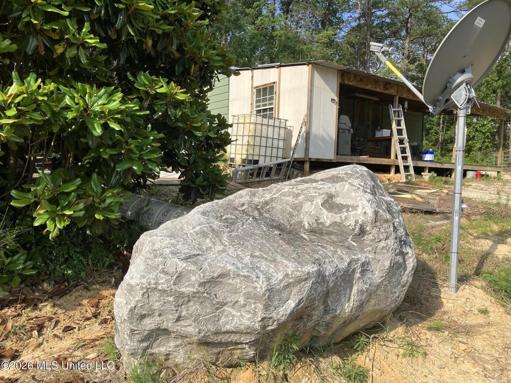 Picture 19