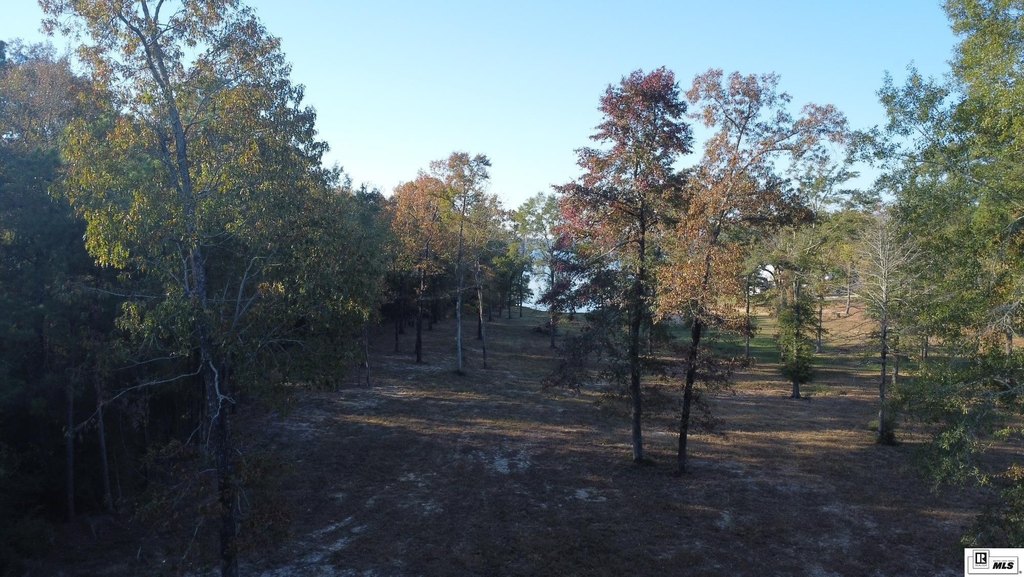 Picture 11