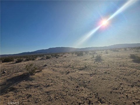 Wonder Valley Parcel Near Joshua