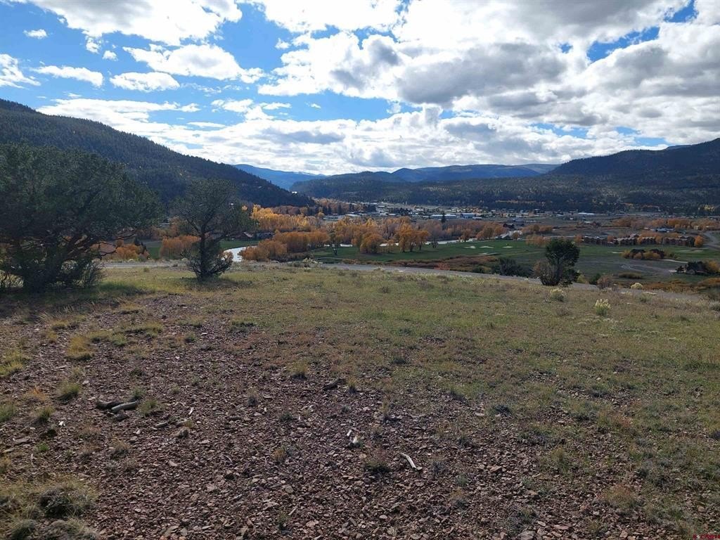 Picture 19