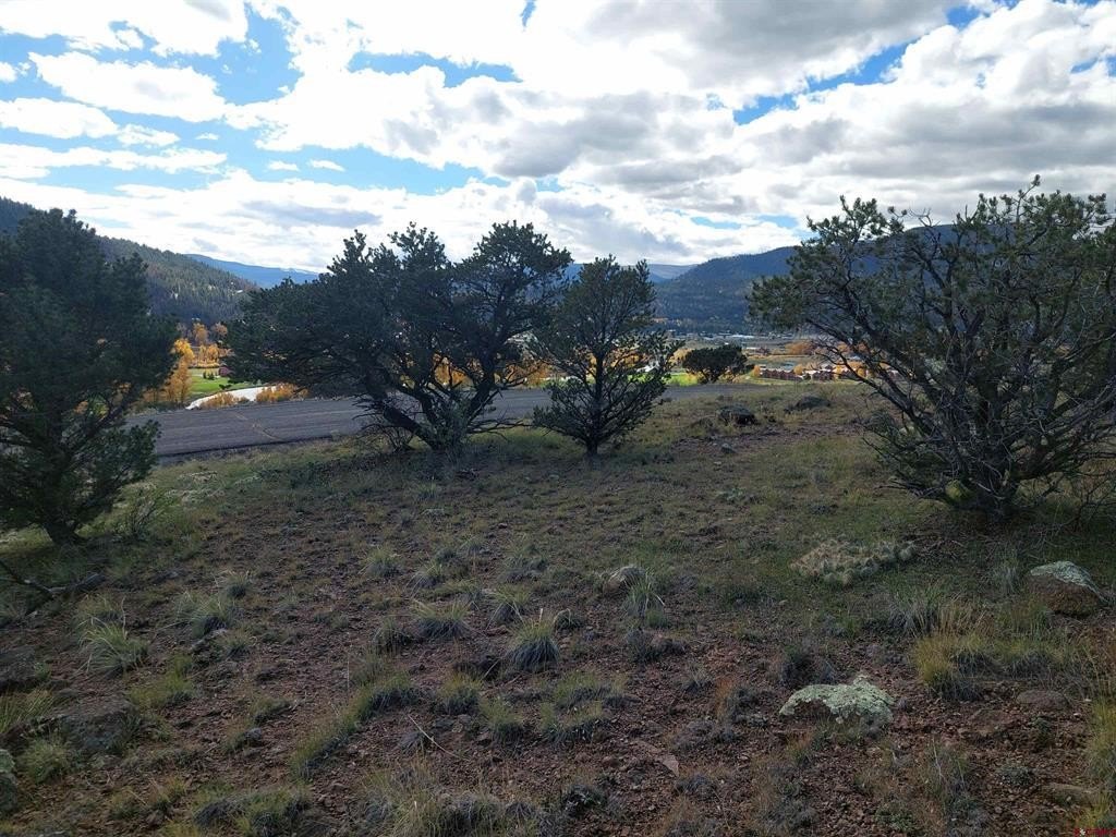 Picture 10