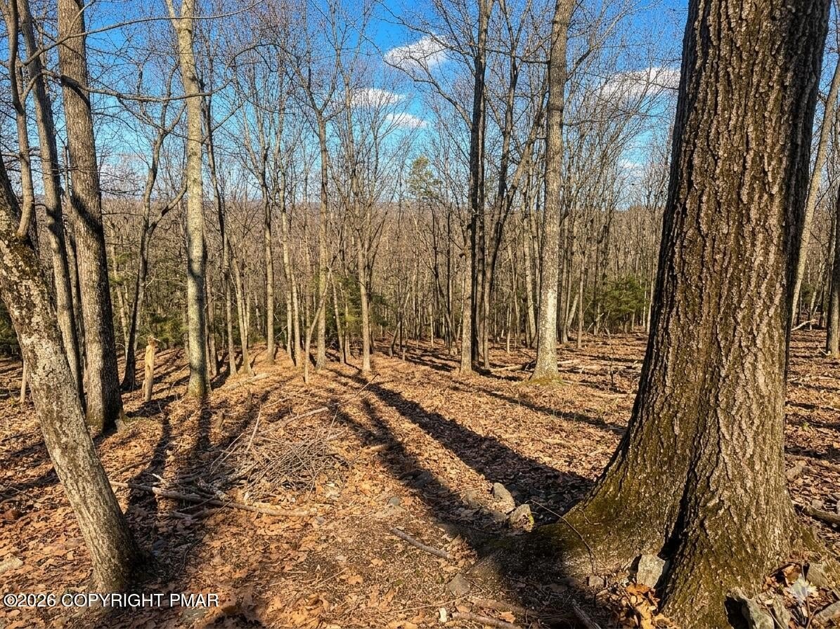 Residential Land in Cresco, PA