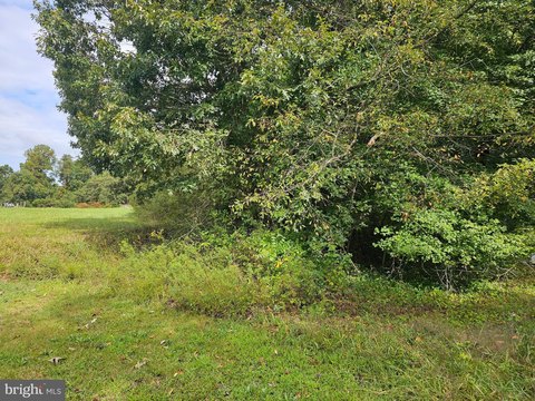 Land in Bushwood, Maryland