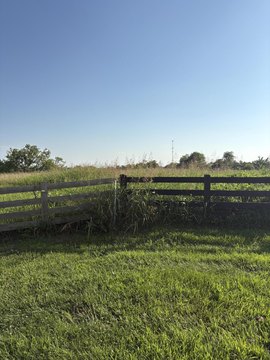 Owenton Land for Residential Development