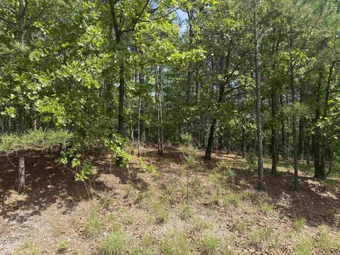 Residential Land in Hot Springs