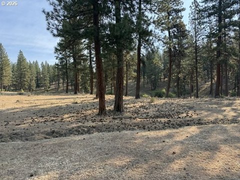 Land, Elgin, OR