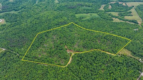 Agricultural and Hunting Land