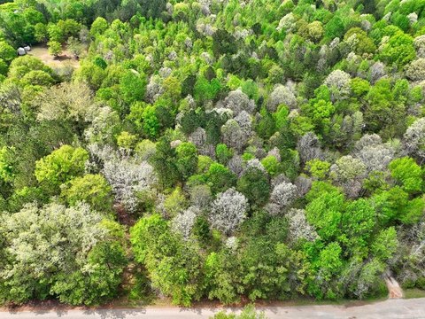 Land, Eatonton, GA